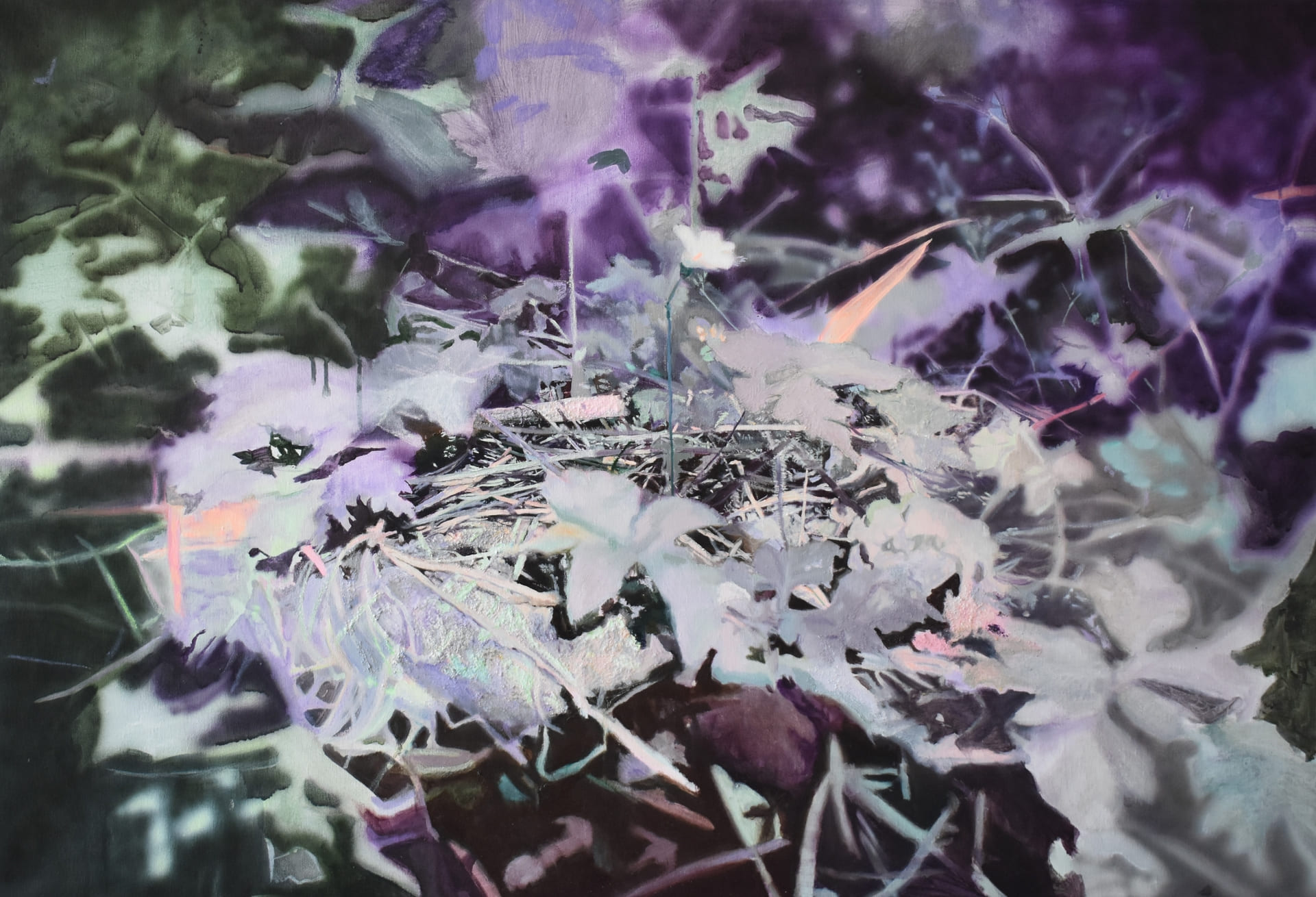 To come to light